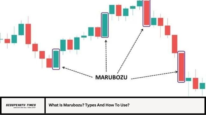 What Is Marubozu? Types And How To Use?